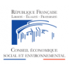 Conseil   conomique Social et Environnemental